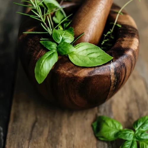 Herbs 🌿